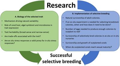 An Experimental Framework for Selectively Breeding Corals for Assisted Evolution